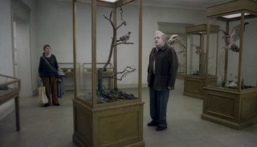 A Pigeon Sat on a Branch Reflecting on Existence