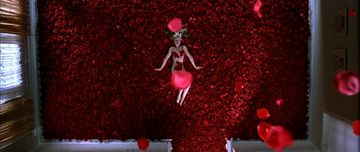 American Beauty