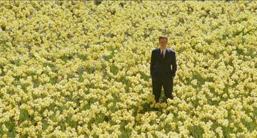 Big Fish
