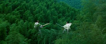 Crouching Tiger, Hidden Dragon