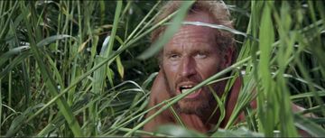 Planet of the Apes