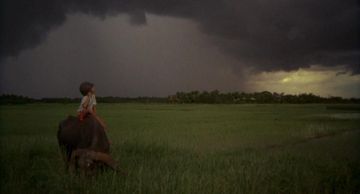The Killing Fields