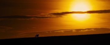 War Horse