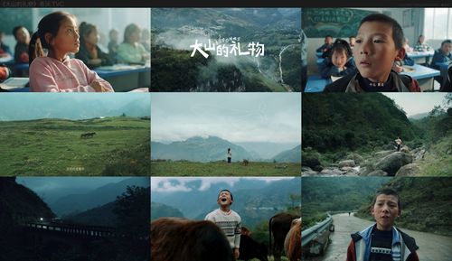 希沃tvc